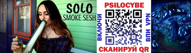 Купить закладки  Куровское  Галлюциногенные грибы Psilocybe 