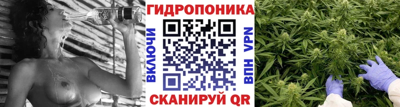 Каннабис Amnesia Куровское